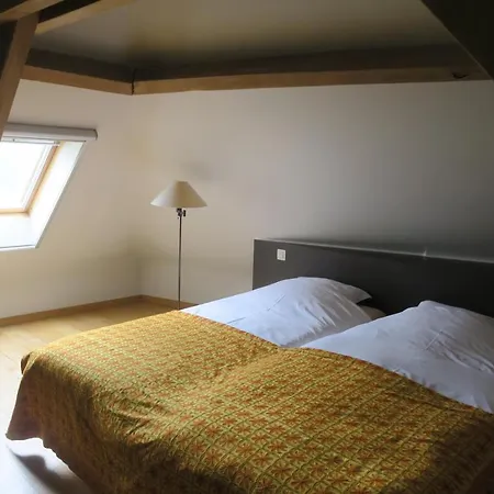 / De Druivelaar In Hartje Guest house *