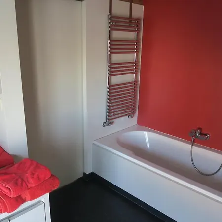 Gæstehus / De Druivelaar In Hartje