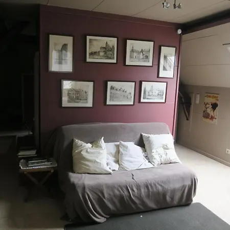 / De Druivelaar In Hartje Guest house